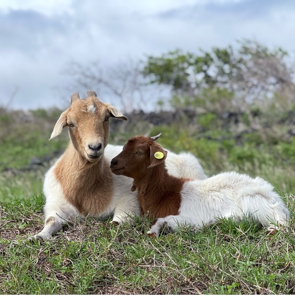 Meet your Posher, Jana - Picture 2 of 6